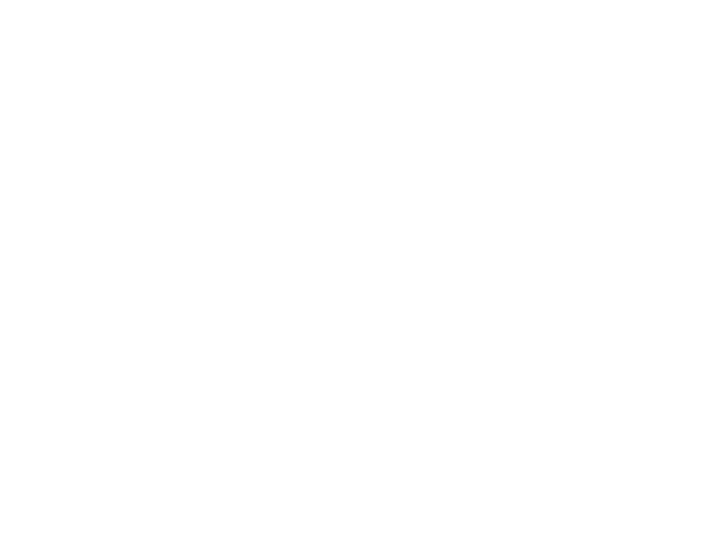 ARA FOTO